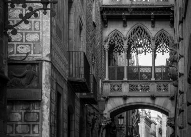 Carrer del Bisbe, Barcelona