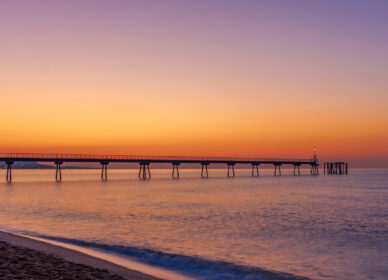 Puente del petroleo 2022