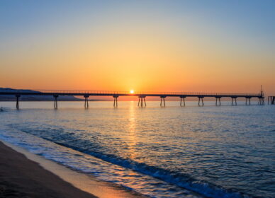 Puente del petroleo 2022