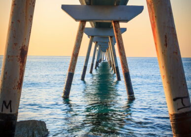 Puente del petroleo 2022