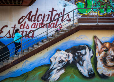 Mural en Ripollet (Barcelona)