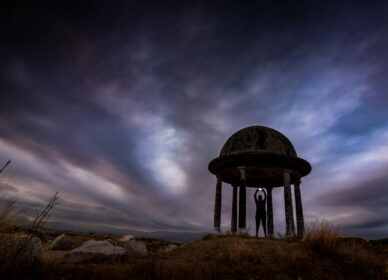 Bosc dels 40 pins (La Roca del Vallès)