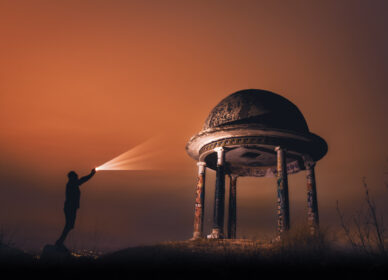 Bosc dels 40 pins (La Roca del Vallès)