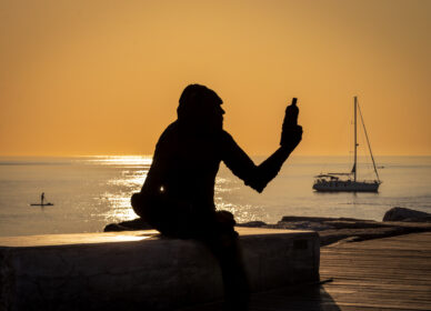 Estatua anis del mono al amanecer