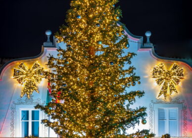 Arbol Navidad Cerdanyola