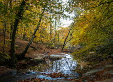 Santa Fé del Montseny
