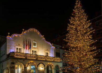 Ayuntamiento Cerdanyola en Navidad