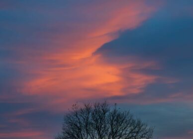 Atardecer con calima en Bosc 40 pins