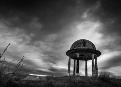 Bosc dels 40 pins (La Roca del Vallès)