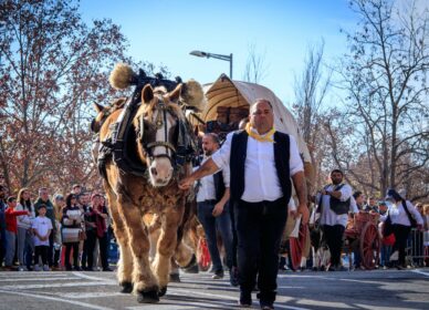 Tres Tombs 2023, Cerdanyola