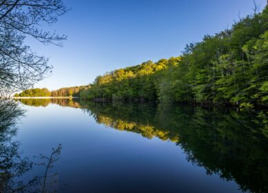 Santa Fe del Montseny
