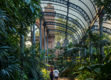 Umbracle, Parc de la Ciutadella (Barcelona)