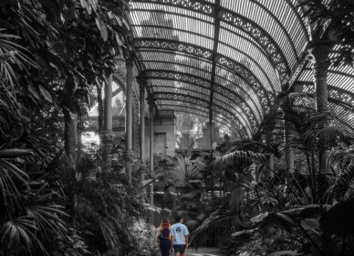 [splash] Umbracle, Parc de la Ciutadella