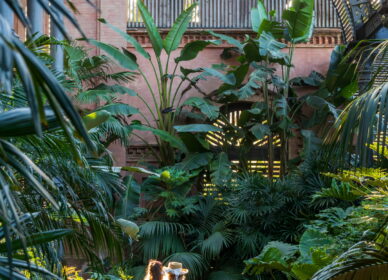 Umbracle, Parc de la Ciutadella (Barcelona)