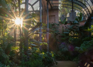 Umbracle, Parc de la Ciutadella (Barcelona)