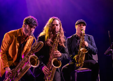 XXXIII Festival Internacional de Blues de Cerdanyola 2024