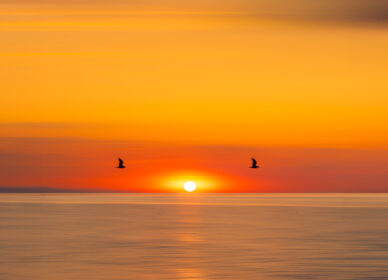 [adamski] Amanecer Espigó de Gas, Barcelona