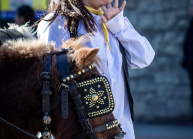 Festa Sant Antoni Abat. 3 Tombs Cerdanyola