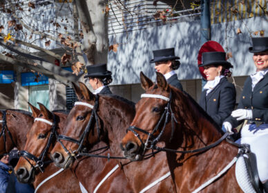 Festa Sant Antoni Abat. 3 Tombs Cerdanyola