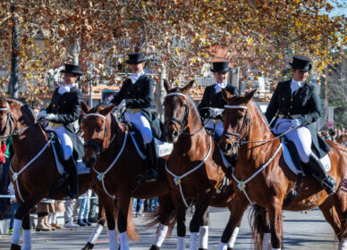 Festa Sant Antoni Abat. 3 Tombs Cerdanyola