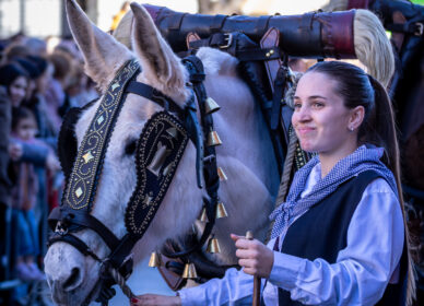 Festa Sant Antoni Abat. 3 Tombs Cerdanyola