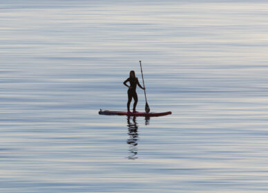 [adamski] paddle surf