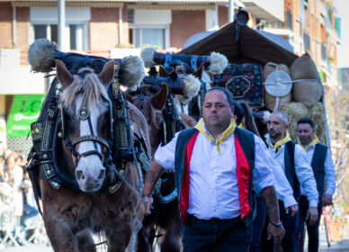 Festa Sant Antoni Abat. 3 Tombs Cerdanyola
