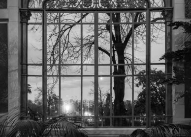 Hivernacle del Parc de la Ciutadella, Barcelona