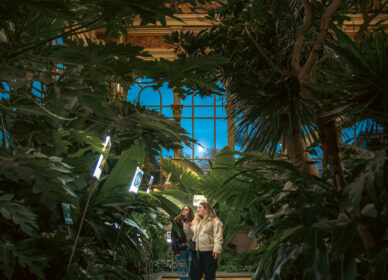 Hivernacle del Parc de la Ciutadella, Barcelona