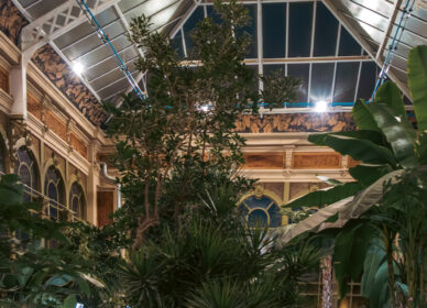 Hivernacle del Parc de la Ciutadella, Barcelona