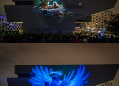 Festival d’Arts Luminiques, Llum BCN 2025