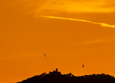 ☀️ Silueteando el Puig de la Creu con el majestuoso sol