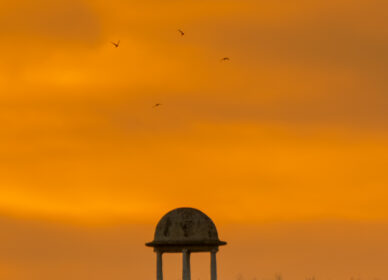 Atardecer en el Mirador dels 40 pins (La Roca del Vallès)