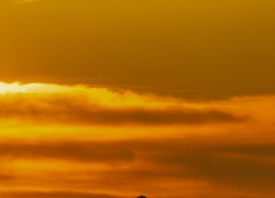 Atardecer en el Mirador dels 40 pins (La Roca del Vallès)