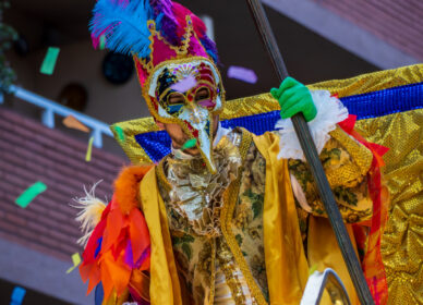 Rua Carnaval Cerdanyola 2025