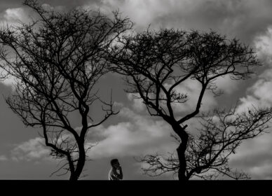 Pensamientos que se bifurcan