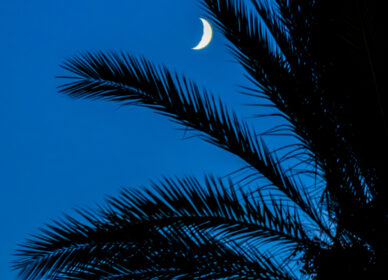 Lunas variadas julio-agosto 2025