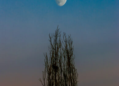 Lunas variadas julio-agosto 2025