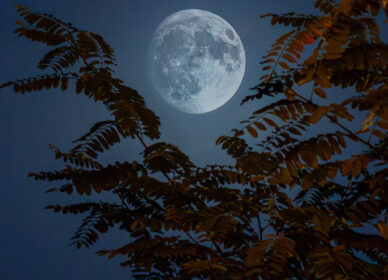 Lunas variadas julio-agosto 2025