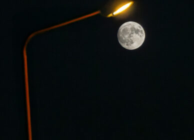 Lunas variadas julio-agosto 2025