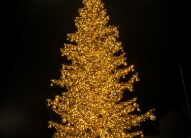 Navidad Cerdanyola 2025