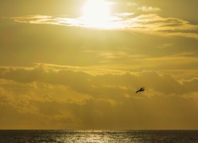 4ª Gran Quedada fin de año 2025 | @barcelona_photographers