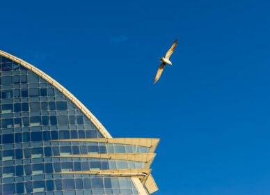 4ª Gran Quedada fin de año 2025 | @barcelona_photographers