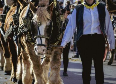 Festa dels Tres Tombs – Cerdanyola 2026