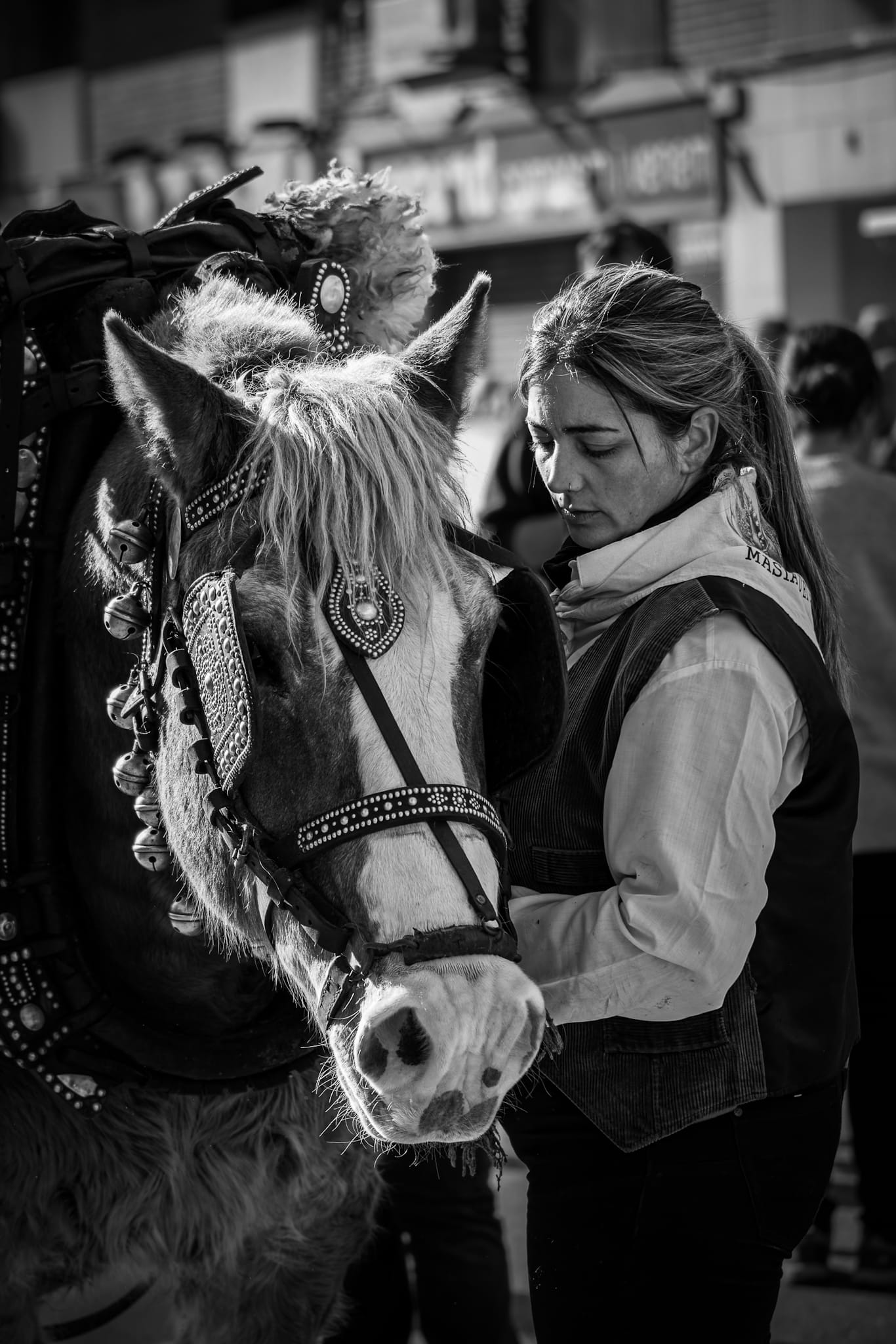 Festa dels Tres Tombs – Cerdanyola 2026