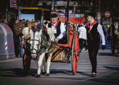 Festa dels Tres Tombs – Cerdanyola 2026