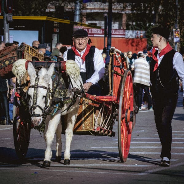 AOCR7_IMG_3995 (1)