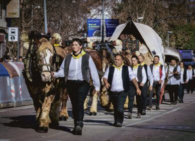 Festa dels Tres Tombs – Cerdanyola 2026