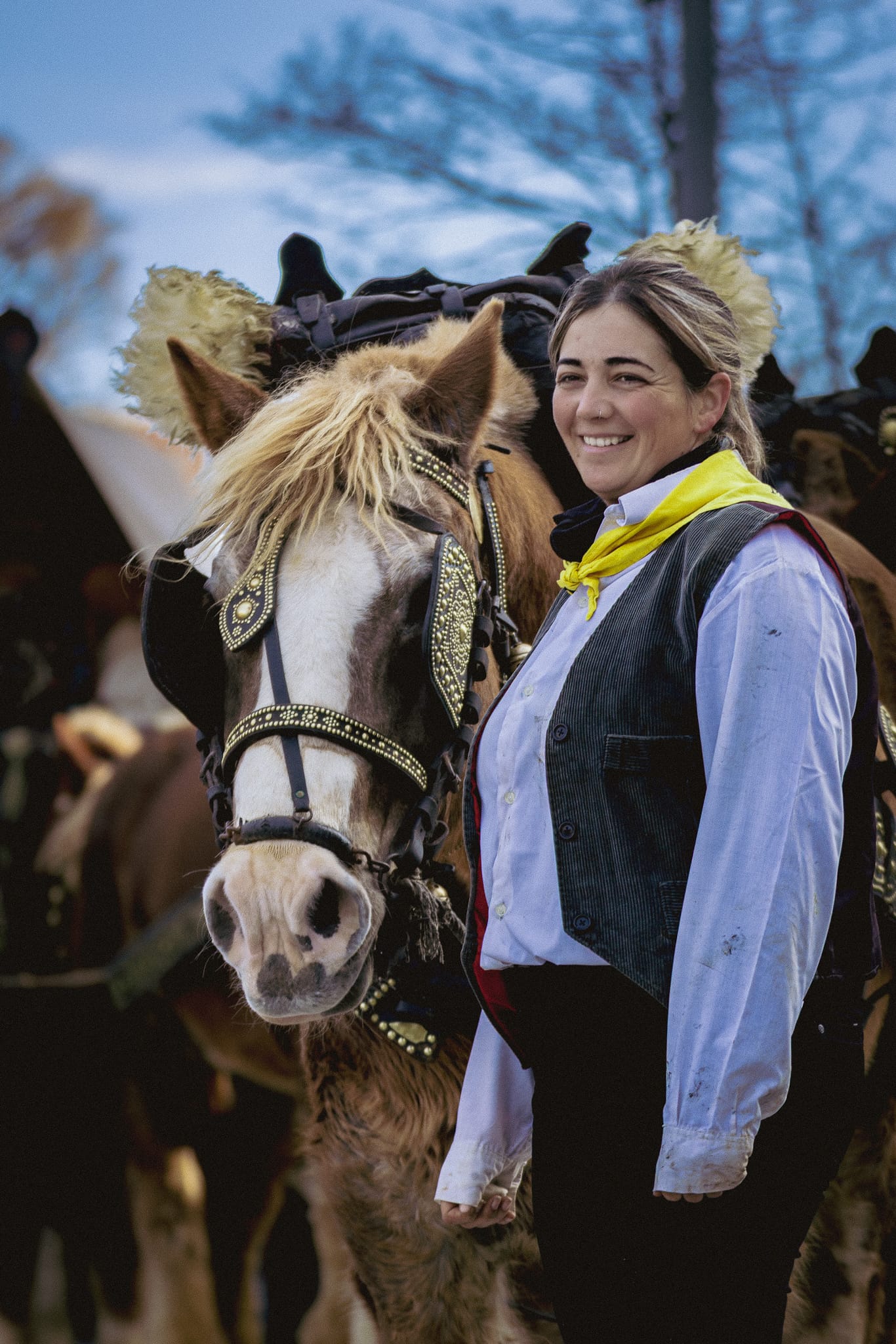 Festa dels Tres Tombs – Cerdanyola 2026