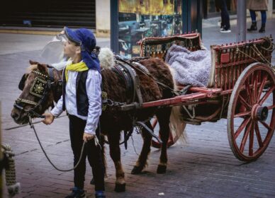 Festa dels Tres Tombs – Cerdanyola 2026